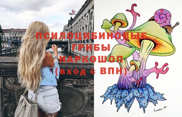 эйфоретик Ладушкин