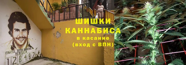 эйфоретик Ладушкин